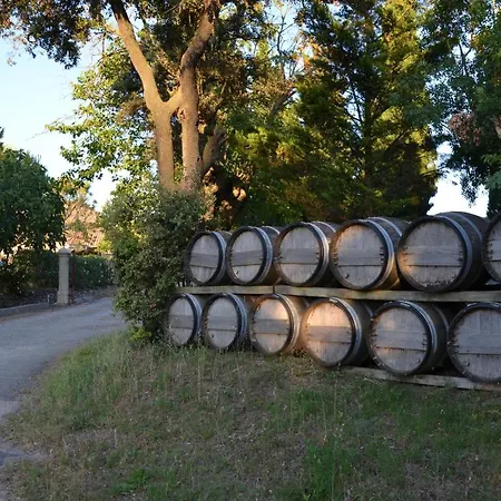 Marsanne For 2 And 2 People In The Heart Of The Vineyard Prázdninový dům Badens