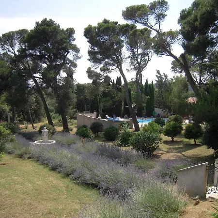 Marsanne For 2 And 2 People In The Heart Of The Vineyard Badens
