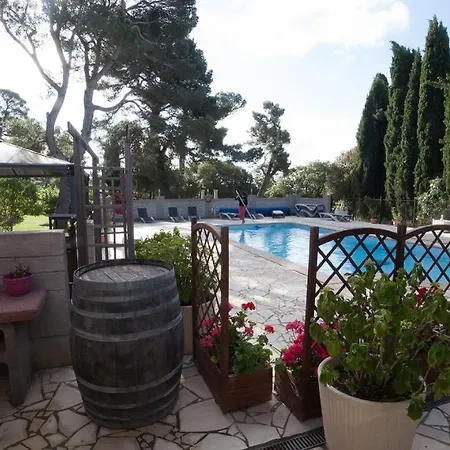 Marsanne For 2 And 2 People In The Heart Of The Vineyard Badens