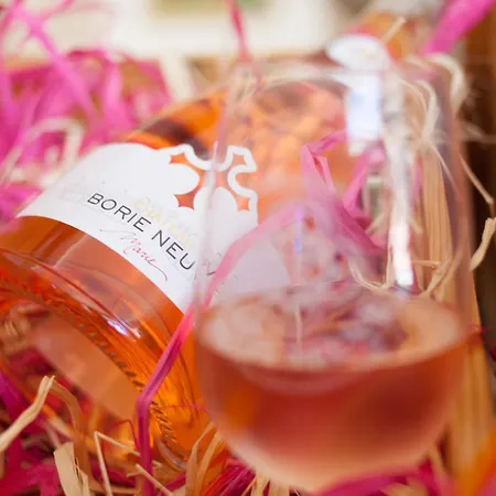 Marsanne For 2 And 2 People In The Heart Of The Vineyard Badens