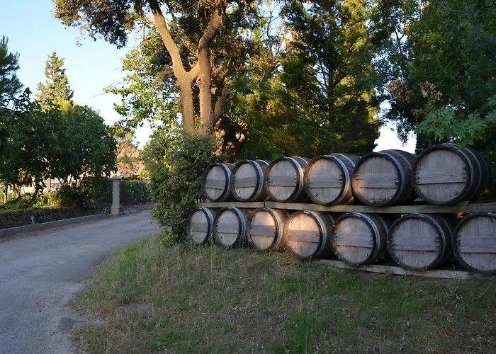 Marsanne For 2 And 2 People In The Heart Of The Vineyard Prázdninový dům Badens