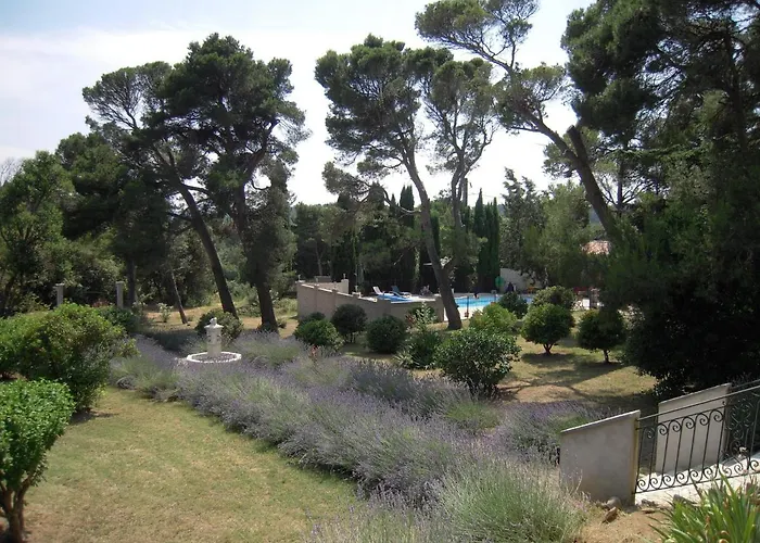 Marsanne For 2 And 2 People In The Heart Of The Vineyard Badens