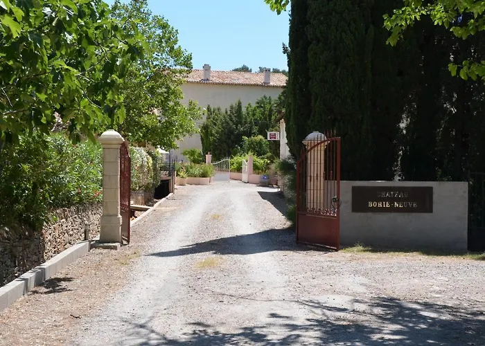 Marsanne For 2 And 2 People In The Heart Of The Vineyard *