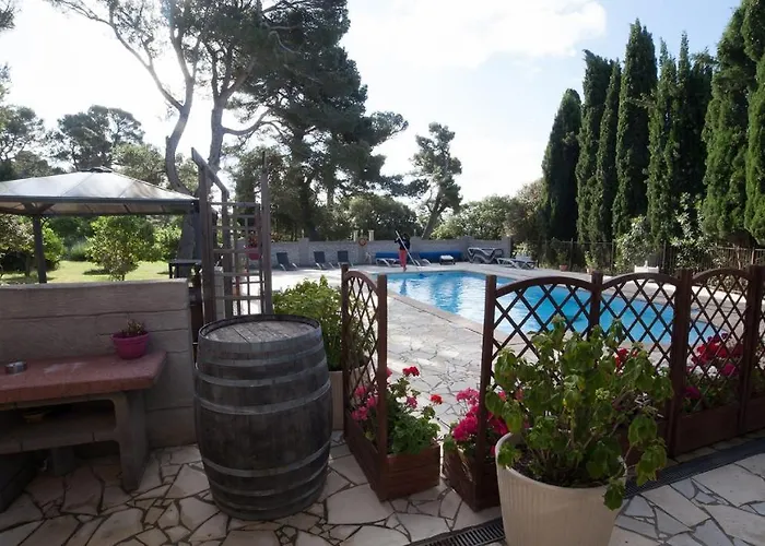 Marsanne For 2 And 2 People In The Heart Of The Vineyard Badens