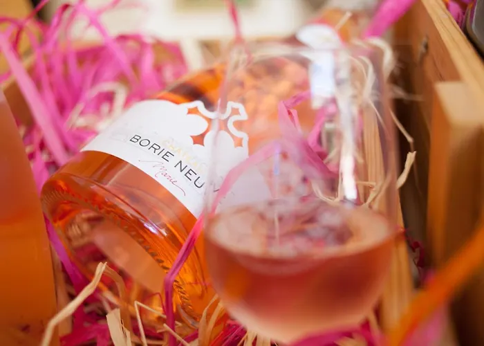 Marsanne For 2 And 2 People In The Heart Of The Vineyard Badens